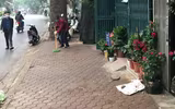 Tuyên truyền nhắc nhở hộ kinh doanh không lấn chiếm vỉa hè, phố hoa cây cảnh trên đường Hoàng Hoa Thám
