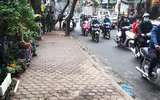 Tuyên truyền nhắc nhở hộ kinh doanh không lấn chiếm vỉa hè, phố hoa cây cảnh trên đường Hoàng Hoa Thám