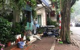 Tuyên truyền nhắc nhở hộ kinh doanh không lấn chiếm vỉa hè, phố hoa cây cảnh trên đường Hoàng Hoa Thám