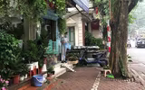 Tuyên truyền nhắc nhở hộ kinh doanh không lấn chiếm vỉa hè, phố hoa cây cảnh trên đường Hoàng Hoa Thám