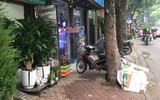Tuyên truyền nhắc nhở hộ kinh doanh không lấn chiếm vỉa hè, phố hoa cây cảnh trên đường Hoàng Hoa Thám