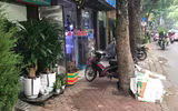 Tuyên truyền nhắc nhở hộ kinh doanh không lấn chiếm vỉa hè, phố hoa cây cảnh trên đường Hoàng Hoa Thám