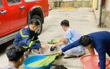 Sắc xuân mới ở đơn vị phòng cháy, chữa cháy quận Cầu Giấy