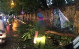 Công an phường Tây Hồ kịp thời xử lý sự cố ảnh hưởng đến giao thông sau mưa giông