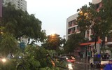 Công an phường Tây Hồ kịp thời xử lý sự cố ảnh hưởng đến giao thông sau mưa giông