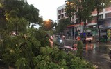 Công an phường Tây Hồ kịp thời xử lý sự cố ảnh hưởng đến giao thông sau mưa giông