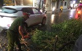 Công an phường Tây Hồ kịp thời xử lý sự cố ảnh hưởng đến giao thông sau mưa giông