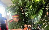 Công an phường Tây Hồ kịp thời xử lý sự cố ảnh hưởng đến giao thông sau mưa giông