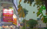 Công an phường Tây Hồ kịp thời xử lý sự cố ảnh hưởng đến giao thông sau mưa giông