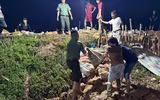 Công an Hà Nội xuyên đêm gia cố đê, ngăn nước tràn bờ cùng nhân dân