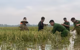 Công an Hà Nội giúp dân ổn định cuộc sống sau mưa lũ 