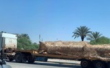 [ẢNH] Nga âm thầm viện trợ hàng trăm tên lửa Scud và 60 xe tăng T-62 cho LNA?