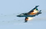 [ẢNH] Belarus bàn giao Su-25 cho Bulgaria sau khi cảnh báo bắt giữ