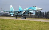 [ẢNH] Phi công Ukraine kể về việc suýt bắn rơi một chiếc Il-20 của Nga
