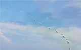 [ẢNH] Nga muốn học Mỹ diệt tàu sân bay bằng 