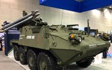 [ẢNH] Báo Nga: M-SHORAD Mỹ không xứng là đối thủ của Pantsir-S1