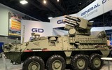 [ẢNH] Báo Nga: M-SHORAD Mỹ không xứng là đối thủ của Pantsir-S1