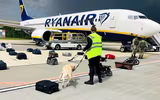 [ẢNH] Châu Âu sẽ phong tỏa không phận Belarus sau vụ ép hạ máy bay Ryanair?