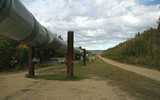 [ẢNH] Vì sao Nga phiêu lưu với dự án Pakistan Stream khi chưa hoàn thành Nord Stream 2?