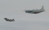 [ẢNH] Sai sót của phi công khiến F-35 Italia suýt bị An-12 Nga bắn hạ?