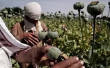 [ẢNH] Đọ súng dữ dội giữa Taliban và lính biên phòng Uzbekistan?