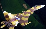 Màn trình diễn khó tin của tiêm kích Su-37 mang về cho Nga 10 tỷ USD