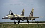 Màn trình diễn khó tin của tiêm kích Su-37 mang về cho Nga 10 tỷ USD