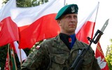 NATO đã thua ngay từ khi Nga chưa bắt đầu chiến đấu