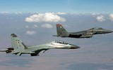 Yếu tố nào giúp tiêm kích Su-30 Nga 'chiến thắng' F-15 Mỹ trên... 4 châu lục?