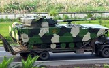 Xe chiến đấu lưỡng cư mới của Nga sao chép từ chiếc ZBD-2000 Trung Quốc?