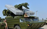 Bất ngờ với ‘ong bắp cày’- hệ thống phòng không hiệu quả nhất của Ukraine
