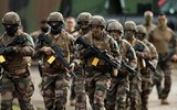 Ứng viên Le Pen dọa rút Pháp khỏi cơ cấu chỉ huy NATO, xây dựng quan hệ chiến lược với Nga