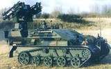 Đức dự định cung cấp cho Ukraine thiết giáp đổ bộ đường không Wiesel độc đáo