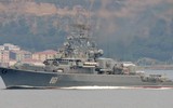 Ukraine xác định 'ứng viên mới' cho sự hủy diệt của tên lửa Neptune sau tuần dương hạm Moskva