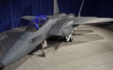 Tại sao 'Đại bàng câm lặng' - Tiêm kích F-15SE Silent Eagle phải chịu thất bại nặng nề?