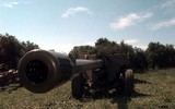 'Vua chiến trường quý hiếm' từ NATO sẽ giúp Ukraine 'dập tắt' khẩu đội pháo D30 Nga?