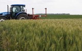 Thị trường ngũ cốc châu Âu 'dậy sóng' sau tuyên bố của Tổng thống Putin
