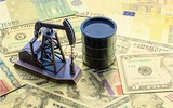 Cựu cố vấn CIA: EU đối diện vấn đề bất thường trong cuộc chiến chống lại Nga