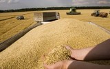 Châu Âu sửng sốt trước sự kết hợp giữa vũ khí năng lượng và ngũ cốc của Nga