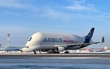 Máy bay Airbus Beluga A300-600ST thể hiện năng lực vận tải lớn hơn cả An-225