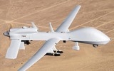 Nguyên soái Ấn Độ: Hiệu quả của UAV Ukraine ở chiến trường miền Đông 'không đáng kể'