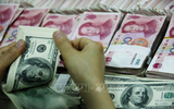 Quá trình 'phi đô la hóa' đang diễn ra nhanh chóng mặt