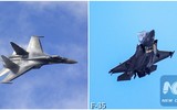 Đại tá NATO: Tiêm kích F-35 Mỹ sẽ phải rút lui nếu đụng độ Su-35 Nga