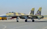 Tiêm kích Su-37 'Kẻ hủy diệt' - Bước nhảy vọt về công nghệ hay thất bại?
