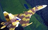 Tiêm kích Su-37 'Kẻ hủy diệt' - Bước nhảy vọt về công nghệ hay thất bại?