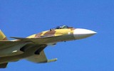 Tiêm kích Su-37 'Kẻ hủy diệt' - Bước nhảy vọt về công nghệ hay thất bại?