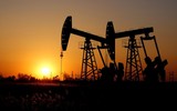 Mỹ chọn sai thời điểm để đưa ra biện pháp trừng phạt OPEC?