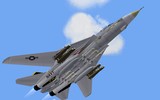 Máy bay ném bom F-14B Bombcat gây tiếc nuối khi bị loại biên quá sớm