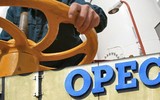 Tổ chức OPEC nhận 'gáo nước lạnh' từ Guyana