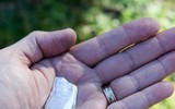 Lệnh cấm xuất khẩu khoáng sản gali gây ảnh hưởng tới chính Trung Quốc?